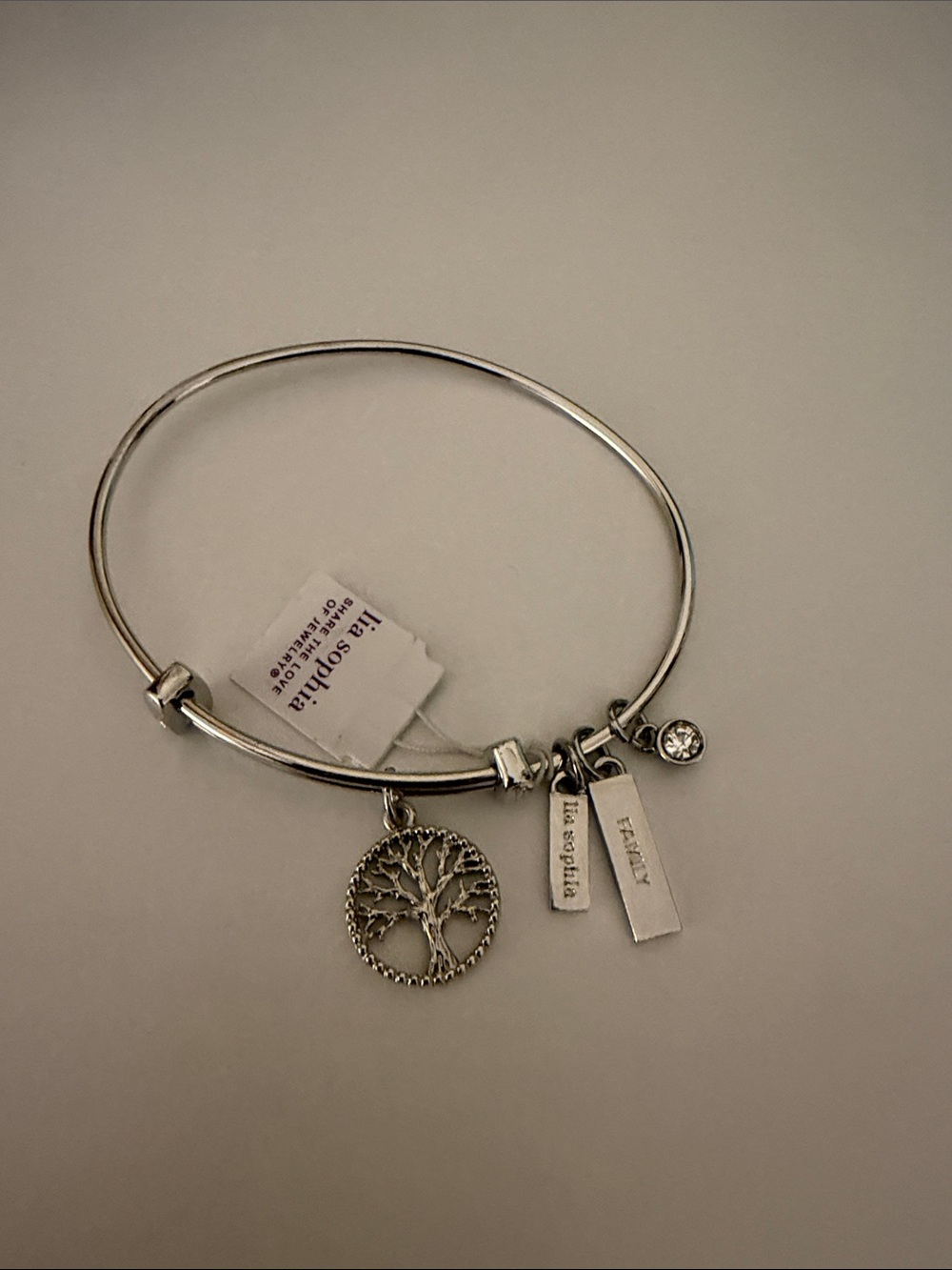 Lia Sophia Silver Tree of Life Charm Bangle with Family Tags